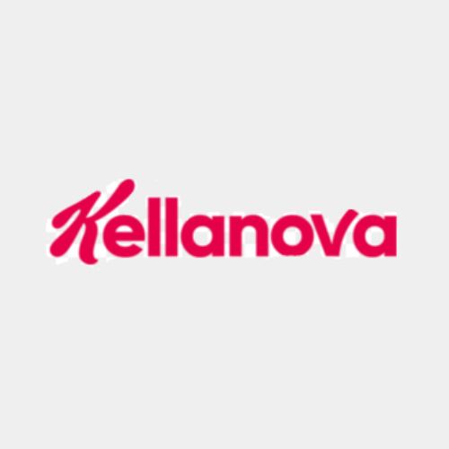 Kellanova - mentor industry experience