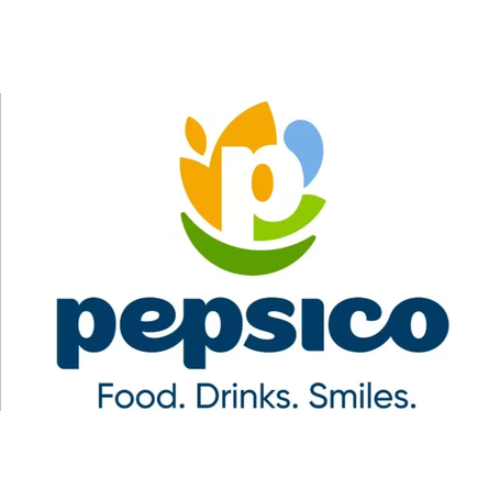 PepsiCo - mentor industry experience